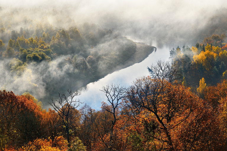 From Riga: Day Trip to Sigulda and Cesis with Hotel Pickup