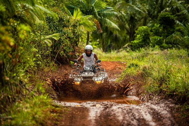 Visit Bel Ombre Nature Reserve Quad Bike Tour in Flic-en-Flac, Mauritius