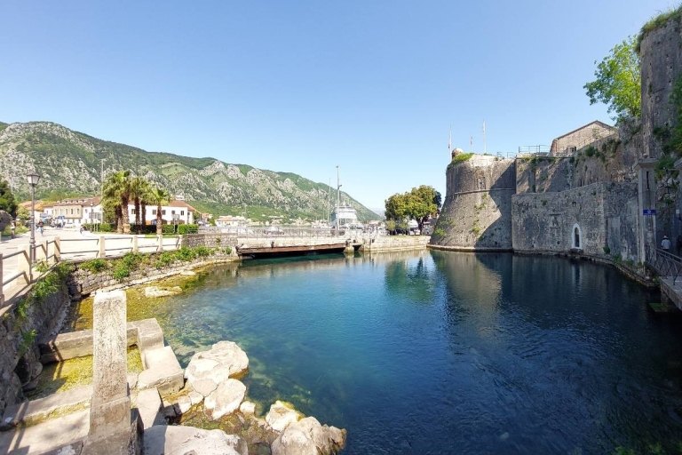 Depuis Dubrovnik : visite guidée des bouches de KotorVisite des bouches de Kotor depuis Dubrovnik en anglais