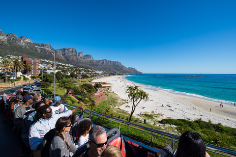 Cape Town: Hop-On Hop-Off Bus Tour with Optional Cruise 1-Day Hop-On Hop-Off Bus Ticket