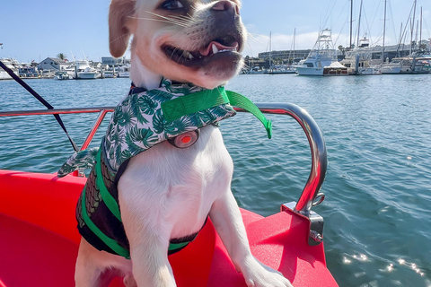 San Diego: Alquiler de barco eléctrico con parasol