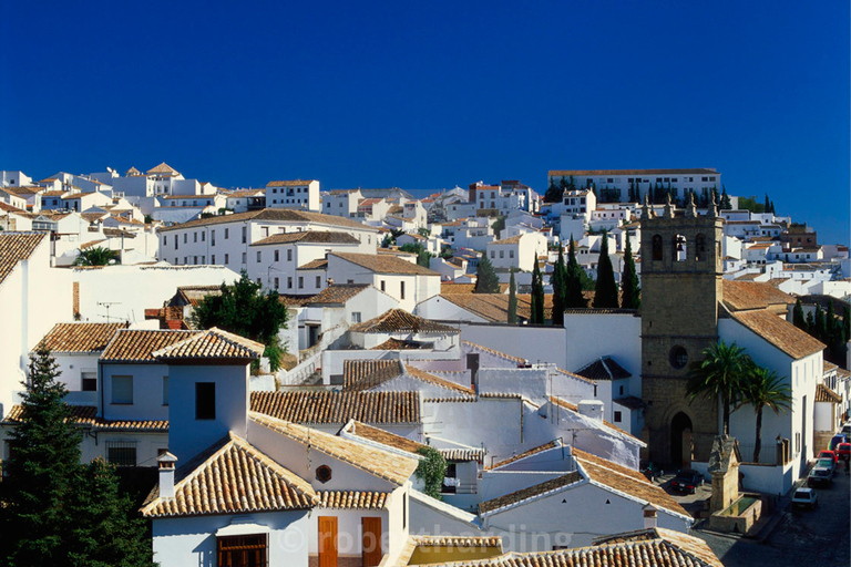 Séville : Excursion à Ronda avec visite optionnelle des villages blancs