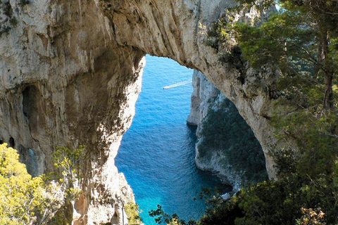 De Sorrente: excursion d'une journée à l'exploration de l'île de Capri et croisière