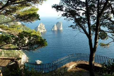 De Sorrente: excursion d'une journée à l'exploration de l'île de Capri et croisière