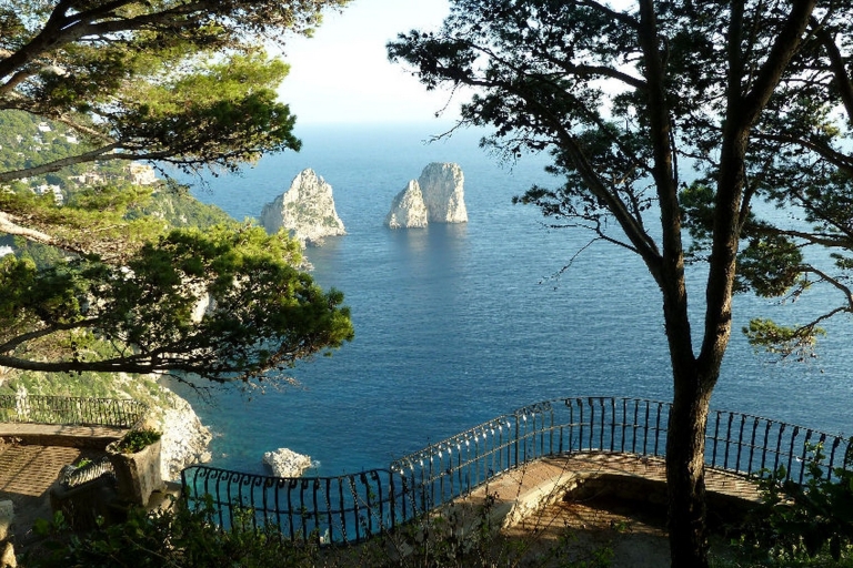 De Sorrente: excursion d'une journée à l'exploration de l'île de Capri et croisière