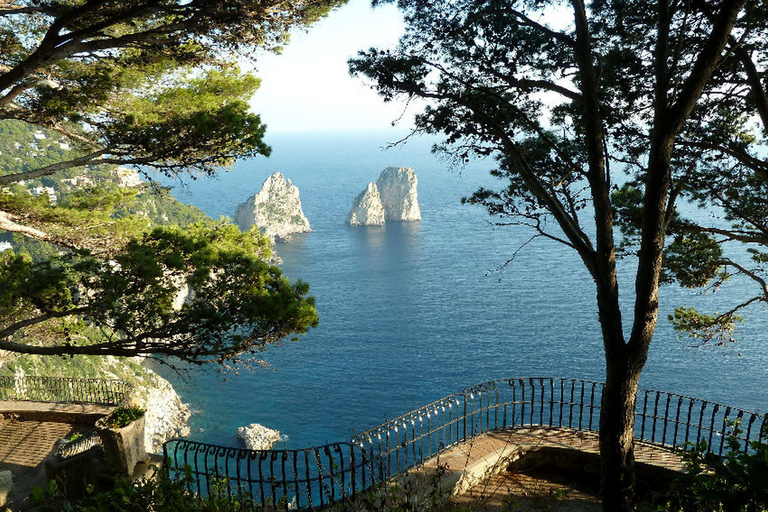 De Sorrente: excursion d'une journée à l'exploration de l'île de Capri et croisière