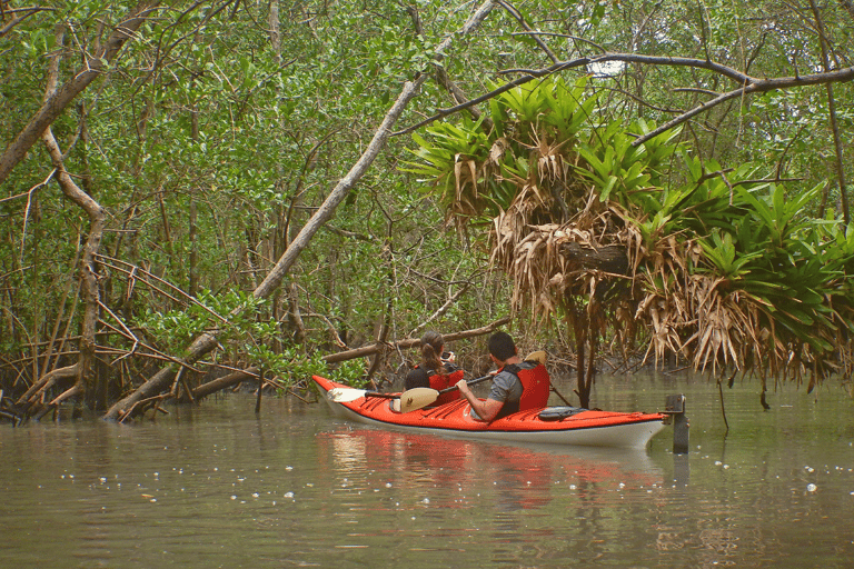 Paraty Bay: Half-Day Mangroves and Beaches Tour by Kayak