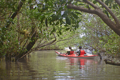 Baie de Paraty : Demi-journée de visite des mangroves et des plages en kayak