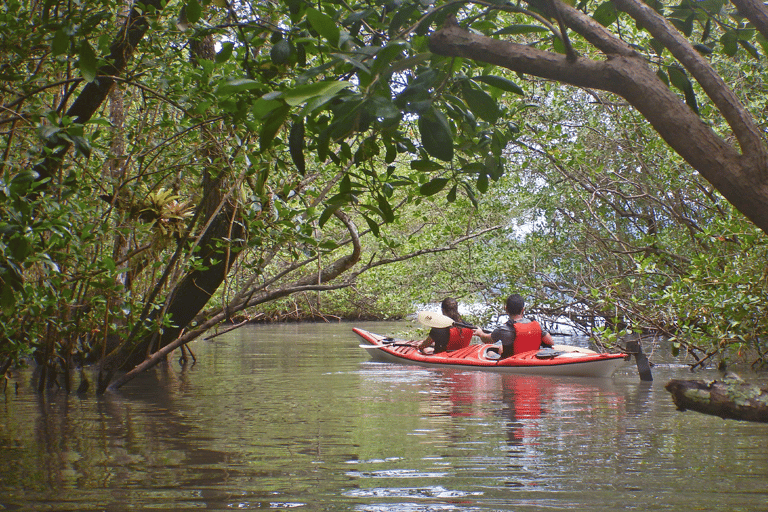 Paraty Bay: Half-Day Mangroves and Beaches Tour by Kayak