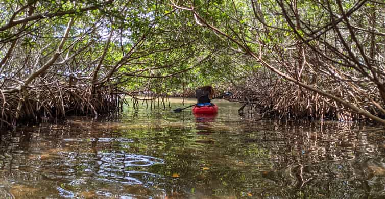 The BEST Florida Summer activities 2023 - FREE Cancellation