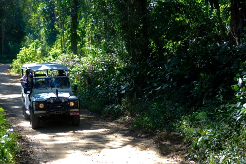 Paraty: Jungle Waterfall en Cachaça Distillery Jeep Tour