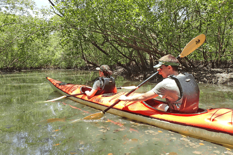 Baie de Paraty : Demi-journée de visite des mangroves et des plages en kayak