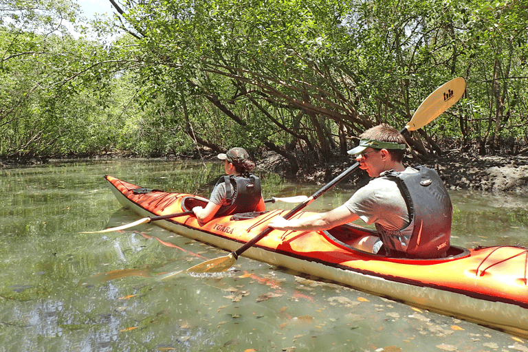 Bahía de Paraty: Excursión de medio día por los manglares y las playas en kayak