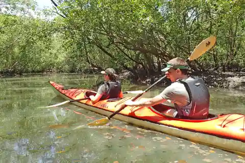 Baía de Paraty: excursão de meio dia pelos manguezais e praias de caiaque