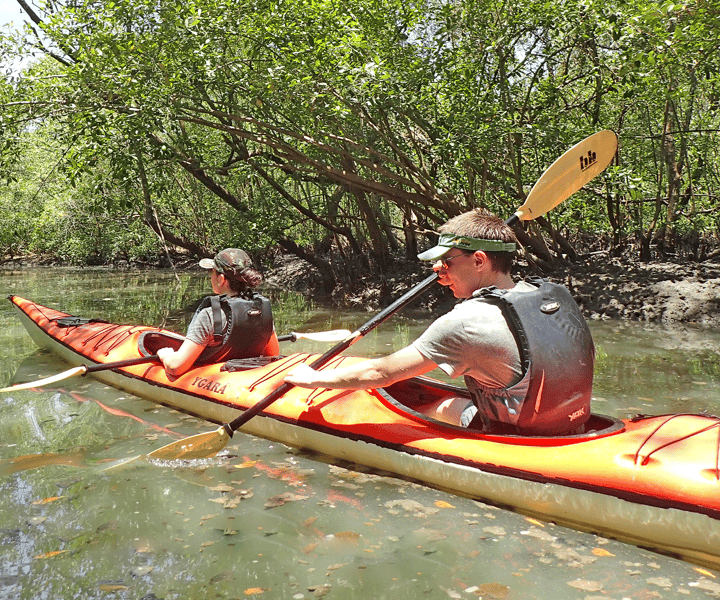 Paraty Bay: tour di mezza giornata di mangrovie e spiagge in kayak