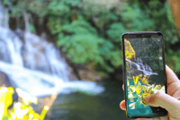 Paraty, Jungle Waterfalls and Cachaça Distillery Jeep Tour - Housity