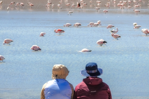 From Uyuni: Red Lagoon & Uyuni Salt Flats 3-Day Guided Tour