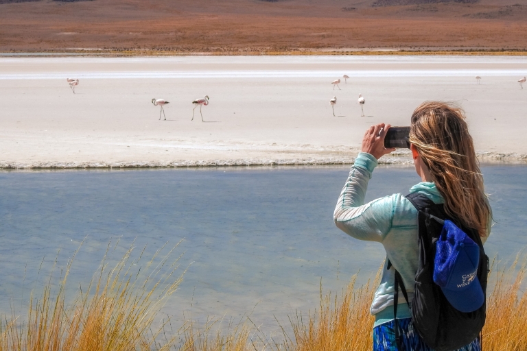 Von Uyuni aus: Rote Lagune & Uyuni Salzwüste 3-tägige geführte Tour