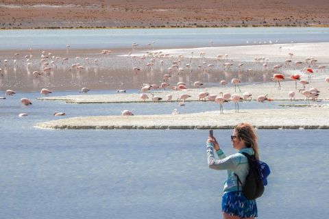 D'Uyuni: visite guidée de 3 jours du lagon rouge et des salines d'Uyuni