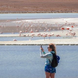 From Uyuni: Red Lagoon & Uyuni Salt Flats 3-Day Guided Tour