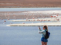 From Uyuni, Red Lagoon & Uyuni Salt Flats 3-Day Guided Tour - Housity