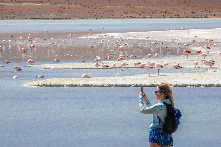 Z Uyuni: Czerwona Laguna i Uyuni Salt Flats 3-dniowa wycieczka z przewodnikiem