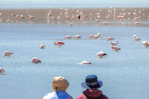 La Paz: tour en autobús de 5 días por el Salar de Uyuni e Isla Incahuasi