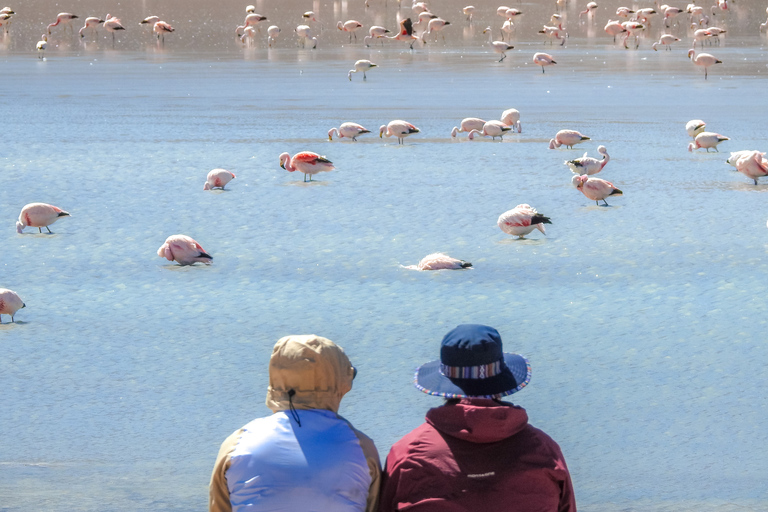 La Paz: Uyuni Salt Flats & Isla Incahuasi 5-tägige Bustour