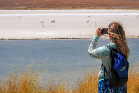 La Paz: visite en bus de 5 jours des salines d'Uyuni et de l'île Incahuasi