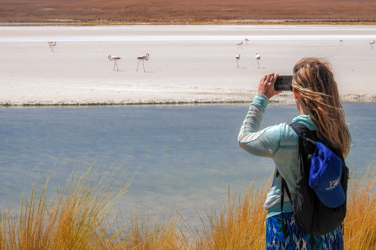 La Paz: Uyuni Salt Flats & Isla Incahuasi 5-tägige Bustour