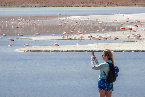 La Paz: tour in autobus di 5 giorni delle saline di Uyuni e di Isla Incahuasi