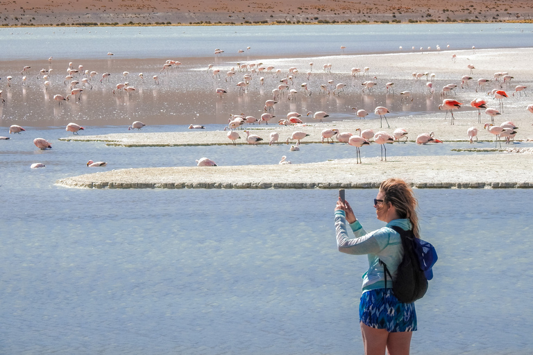 La Paz: tour in autobus di 5 giorni delle saline di Uyuni e di Isla Incahuasi