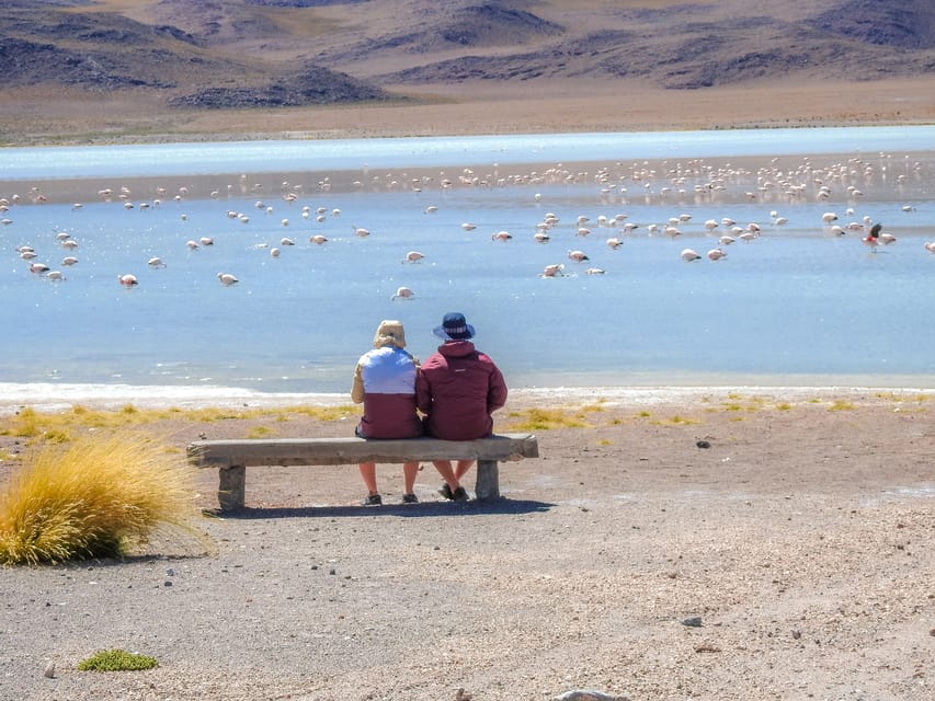 La Paz Uyuni Salt Flats Isla Incahuasi Day Bus Tour Getyourguide