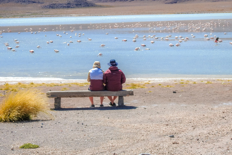 La Paz: visite en bus de 5 jours des salines d'Uyuni et de l'île Incahuasi