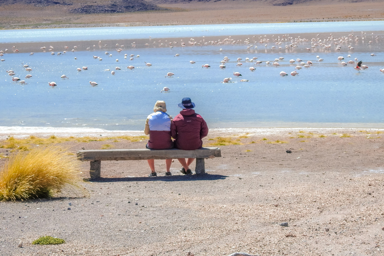 La Paz: visite en bus de 5 jours des salines d'Uyuni et de l'île Incahuasi