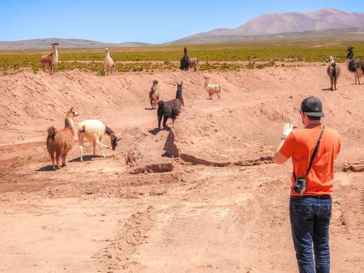 Galería de fotos para redes