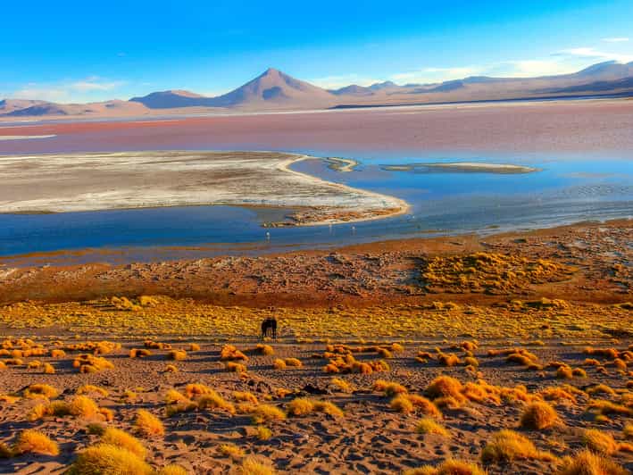 Galería de fotos para redes