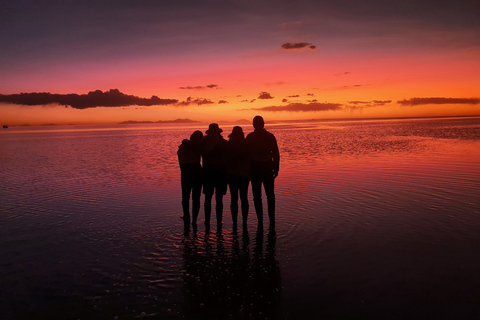 La Paz: tour in autobus di 5 giorni delle saline di Uyuni e di Isla Incahuasi