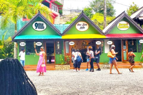 From Kingston: Bob Marley Museum and Nine Mile Town Tour