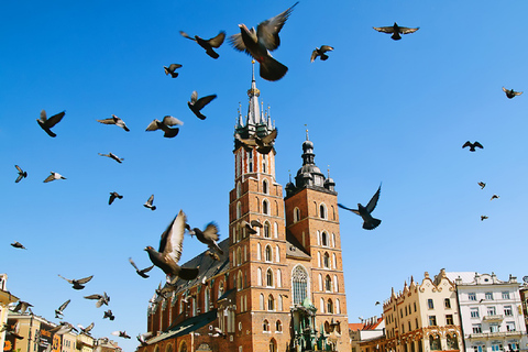 Cracovie: visite d'une journée de la capitale culturelle de la Pologne au départ de Varsovie