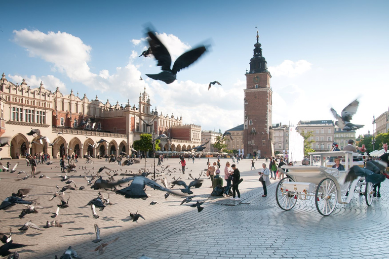 Cracovia: tour privato di un giorno da VarsaviaTour in inglese, spagnolo, tedesco, russo, polacco