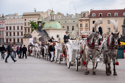 Cracovia: Excursión de un día a la capital cultural de Polonia desde Varsovia