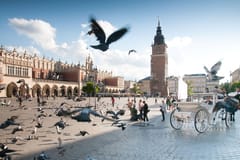 Krakau: Altstadt Private geführte Tour zu Fuß