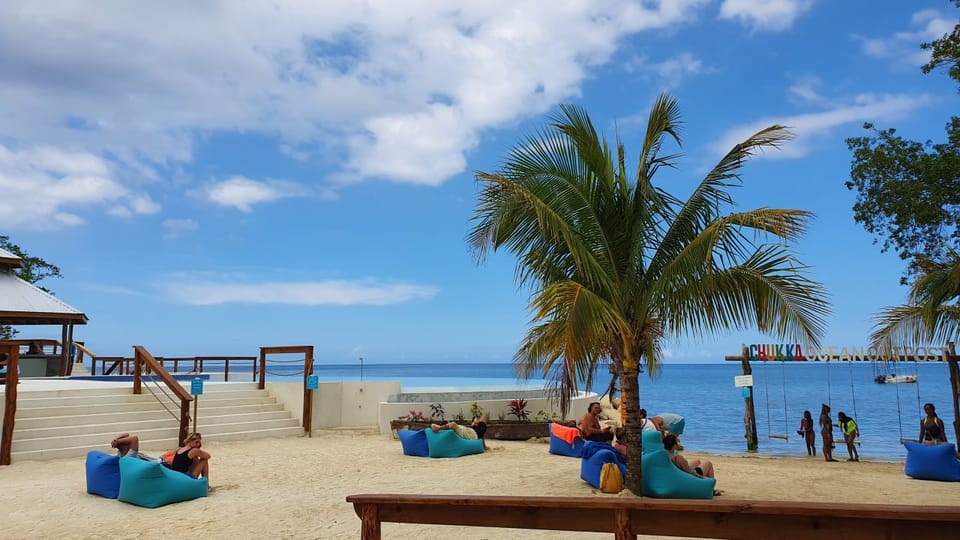 From Montego Bay or Negril: Chukka Horseback Ride and Swim