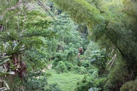 Ocho Rios, White River Jungle Zipline et Blue Hole Expérience - Housity
