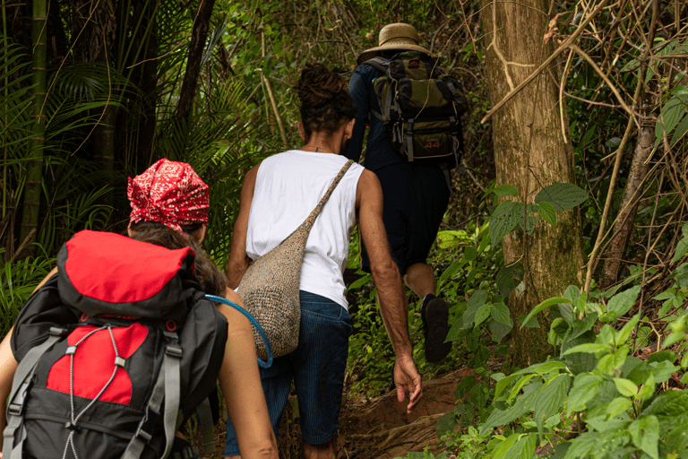 Paraty: Trekking- och vandringstur till Pão de Açucar PeakParaty: Pão de Açucar Peak Tekking och vandringstur