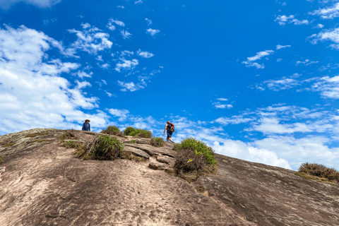 Paraty: Passeio de trekking e caminhada no Pico do Pão de AçúcarParaty: Pico do Pão de Açúcar Tekking e Caminhada