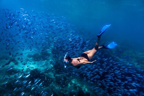 Bali: Blue Lagoon-snorkel- en watervaltour met lunch