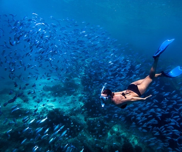 Bali: Blue Lagoon Snorkeling & Waterfall Tour with Lunch