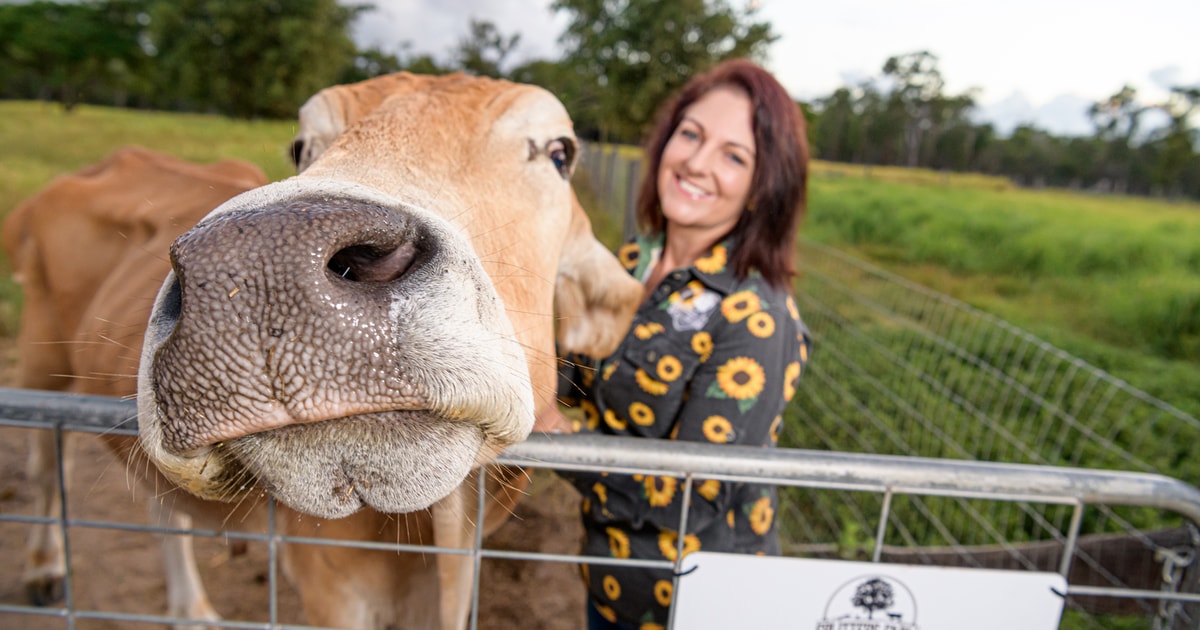 Bundaberg Splitters Farm Private Guided Tour GetYourGuide